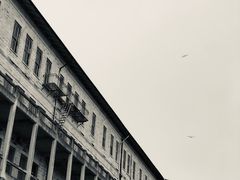 -阿尔卡特拉斯岛