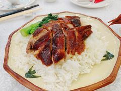 -沙田新强记烧鹅海鲜酒家