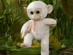 -七彩云南第壹城