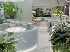 -大树餐厅(朝阳大悦城店)