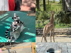 -水上乐园·欢乐世界