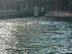 -沈阳植物园
