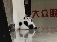 -CLUE演绎实景剧本杀(江南西店)