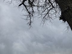 -狼山风景名胜区