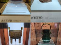 -信阳博物馆