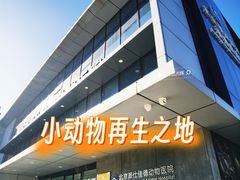 -北京派仕佳德动物医院·超导核磁·CT·神经科·骨科·内外科·急重症管理中心