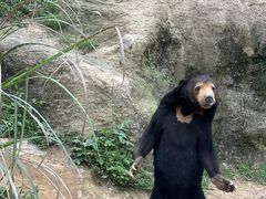 -杭州野生动物世界