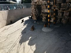 -保定市动物园
