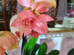 -三旗百汇商品城