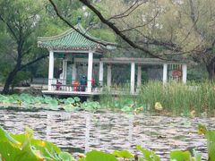-北陵公园