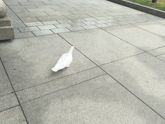 -宋庆龄陵园