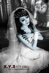 -星元素cosplay动漫摄影写真工作室