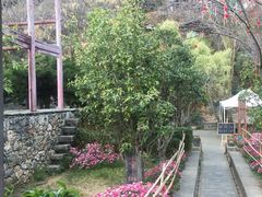 -南诏风情岛