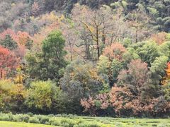 -敬亭山风景名胜区