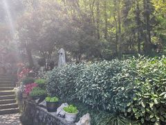 -嘉龙茶庄