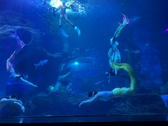 -多彩贵州城极地海洋世界