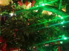 -自助火锅筷乐食代自助餐厅(金辰店)