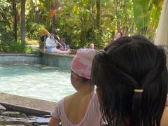 -碧桂园润杨溪谷温泉酒店