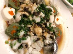 葱蒸桂花鱼-金满福国际酒店(迎宾大道店)