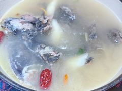 半只鸡-黑鸡小馆(金源店)