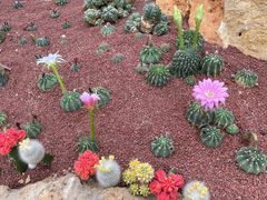 -南通洲际绿博园