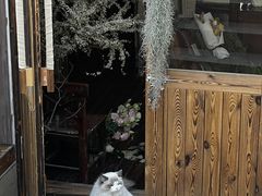 -小魚花店