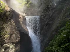 -牛背梁国家森林公园