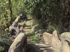 -遵化市禅林寺古银杏风景园