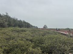 -北海金海湾红树林生态旅游区