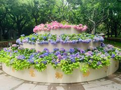 -徐家汇公园