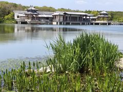 -江苏三台山国家森林公园