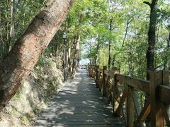 -广州市流溪河国家森林公园