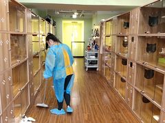 -猫十亿·布偶金渐层·曼基康矮脚猫舍(青年路店)
