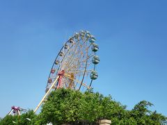 -巨鹏飞梦幻海岸