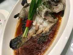 -凤栖酒店