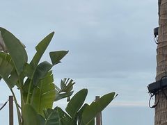 -精酿农场Brew Farm·沙漠绿洲餐厅