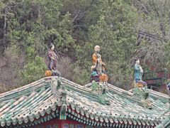 -颐和园