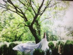 -米兰尊荣婚纱摄影·婚纱照会馆