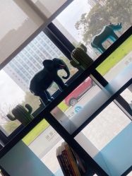 点击看大图 -杭州医学院附属妇儿医院