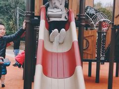 -枫香湖儿童公园