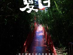 -上海吴淞炮台湾国家湿地公园