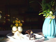 -共青国家森林公园-售票处