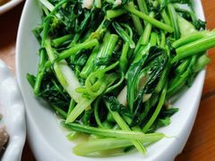 -遇龙河大樟树农家乐