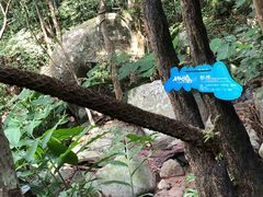 -七仙岭温泉国家森林公园