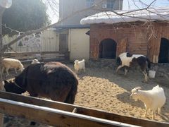 -HERRE·FARM 赫尔露营农场·团建聚会包场