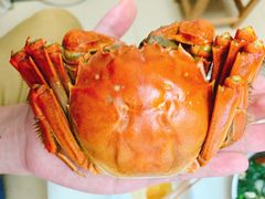 -江记大闸蟹专门店