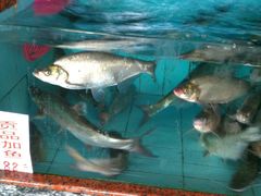 水产区-新庆嫂渔港