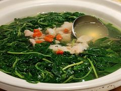 苹果猪上汤浸枸杞-炳胜品味(海印总店)