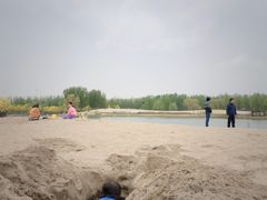 -东郊湿地公园