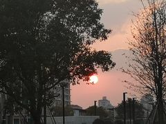 -云锦路(地铁站)